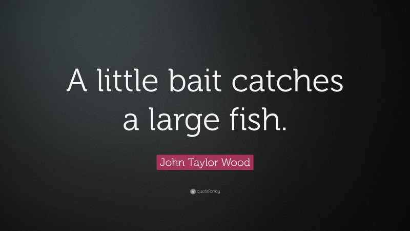 John Taylor Wood Quote: “A little bait catches a large fish.”