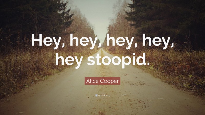 Alice Cooper Quote: “Hey, hey, hey, hey, hey stoopid.”
