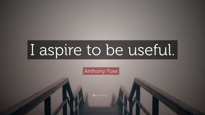Anthony Foxx Quote: “I aspire to be useful.”