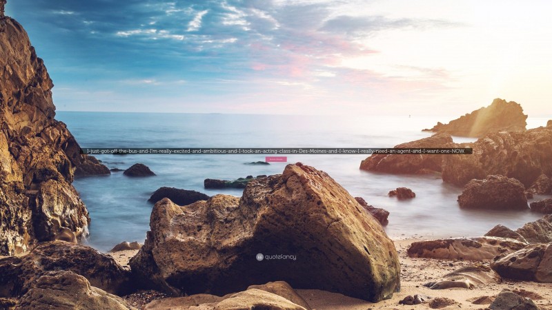 Bonnie Gillespie Quote: “I-just-got-off-the-bus-and-I’m-really-excited-and-ambitious-and-I-took-an-acting-class-in-Des-Moines-and-I-know-I-really-need-an-agent-and-I-want-one-NOW.”