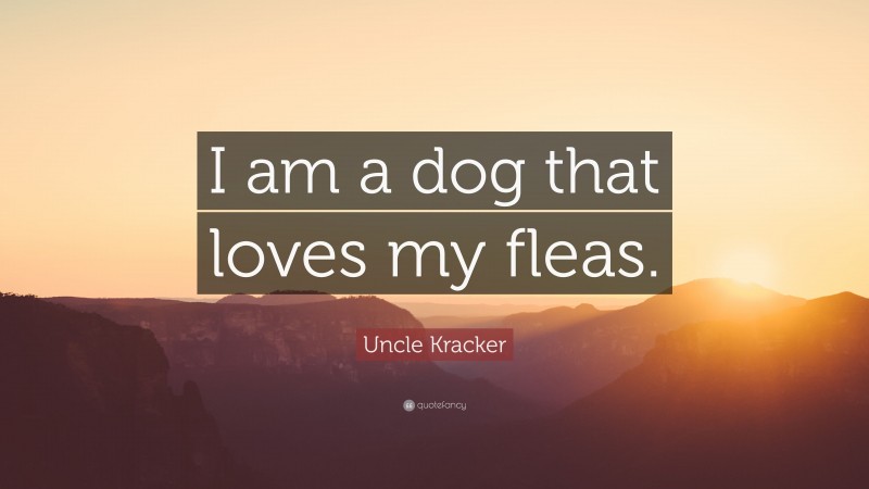 Uncle Kracker Quote: “I am a dog that loves my fleas.”