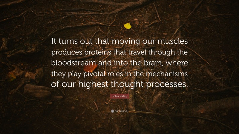 John Ratey Quote: “It turns out that moving our muscles produces proteins that travel through the bloodstream and into the brain, where they play pivotal roles in the mechanisms of our highest thought processes.”