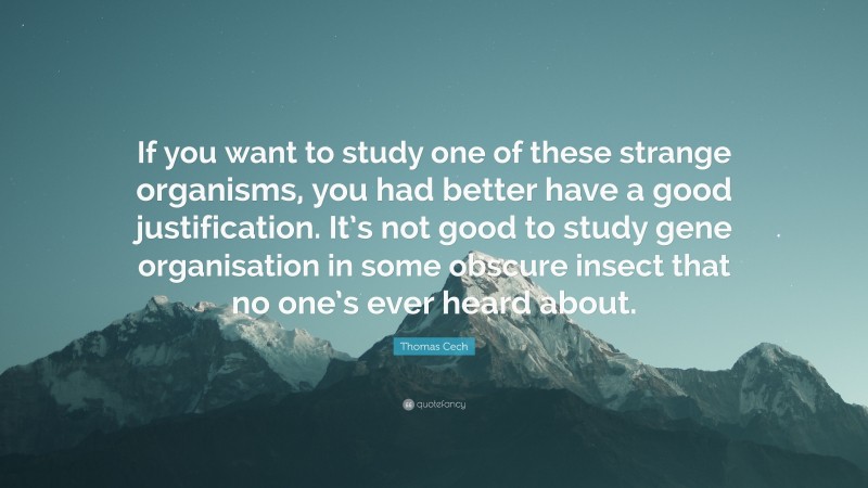 Thomas Cech Quote: “If you want to study one of these strange organisms, you had better have a good justification. It’s not good to study gene organisation in some obscure insect that no one’s ever heard about.”