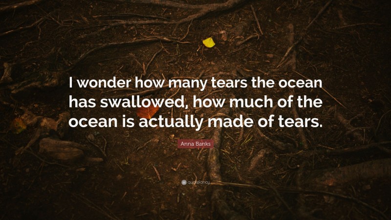 Anna Banks Quote: “I wonder how many tears the ocean has swallowed, how much of the ocean is actually made of tears.”