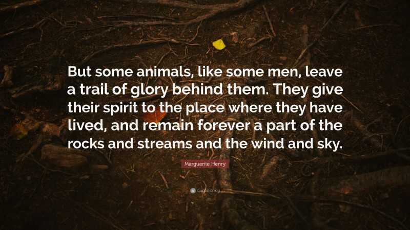 Marguerite Henry Quote: “But some animals, like some men, leave a trail of glory behind them. They give their spirit to the place where they have lived, and remain forever a part of the rocks and streams and the wind and sky.”