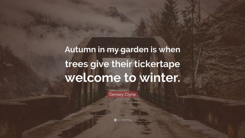 Densey Clyne Quote: “Autumn in my garden is when trees give their tickertape welcome to winter.”