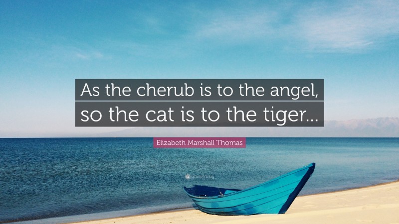 Elizabeth Marshall Thomas Quote: “As the cherub is to the angel, so the cat is to the tiger...”
