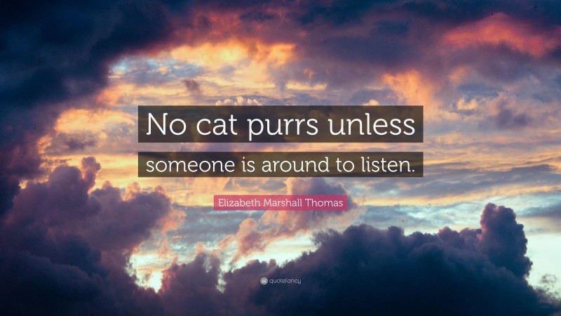 Elizabeth Marshall Thomas Quote: “No cat purrs unless someone is around to listen.”