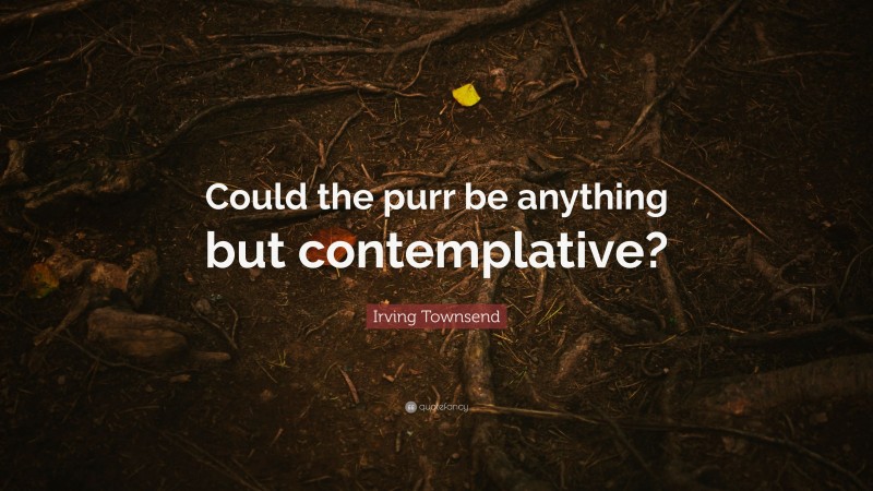 Irving Townsend Quote: “Could the purr be anything but contemplative?”