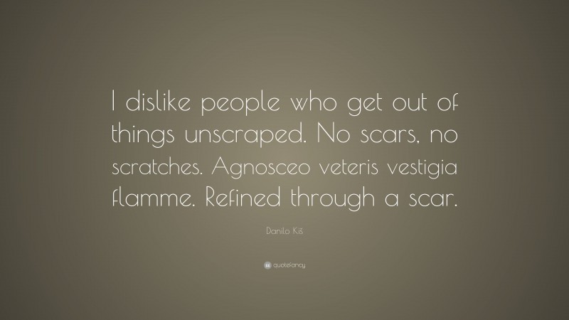 Danilo Kiš Quote: “I dislike people who get out of things unscraped. No scars, no scratches. Agnosceo veteris vestigia flamme. Refined through a scar.”