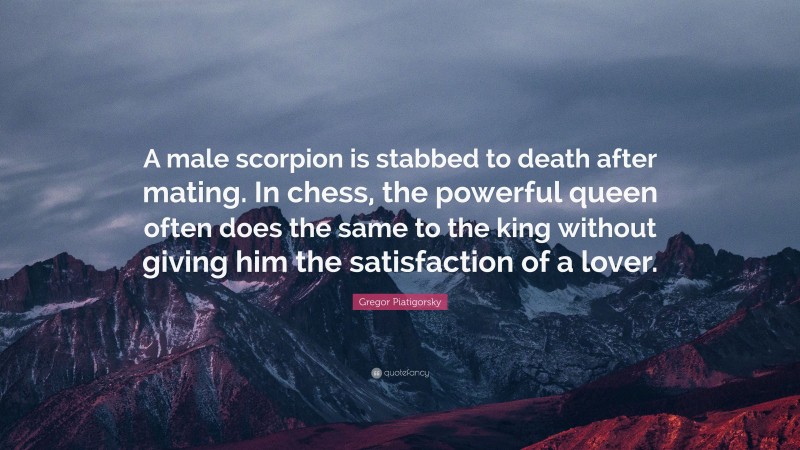 Gregor Piatigorsky Quote: “A male scorpion is stabbed to death after mating. In chess, the powerful queen often does the same to the king without giving him the satisfaction of a lover.”