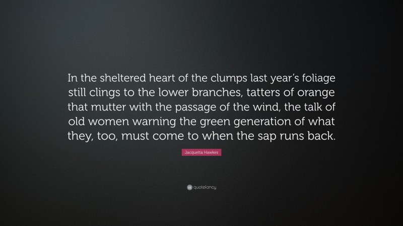 Jacquetta Hawkes Quote: “In the sheltered heart of the clumps last year’s foliage still clings to the lower branches, tatters of orange that mutter with the passage of the wind, the talk of old women warning the green generation of what they, too, must come to when the sap runs back.”