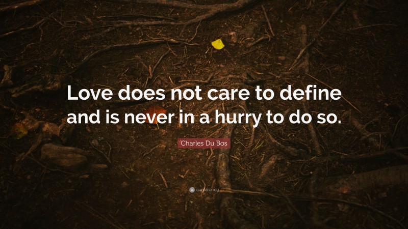 Charles Du Bos Quote: “Love does not care to define and is never in a hurry to do so.”