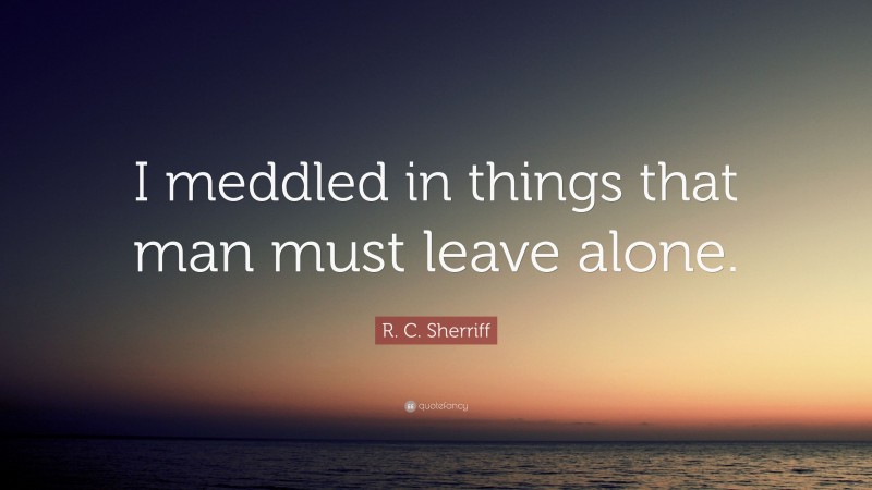 R. C. Sherriff Quote: “I meddled in things that man must leave alone.”