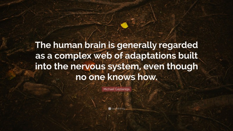 Michael Gazzaniga Quote: “The human brain is generally regarded as a complex web of adaptations built into the nervous system, even though no one knows how.”
