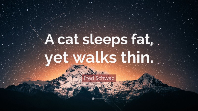 Fred Schwab Quote: “A cat sleeps fat, yet walks thin.”