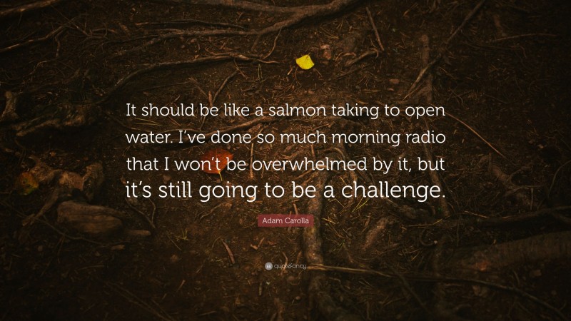 Adam Carolla Quote: “It should be like a salmon taking to open water. I’ve done so much morning radio that I won’t be overwhelmed by it, but it’s still going to be a challenge.”