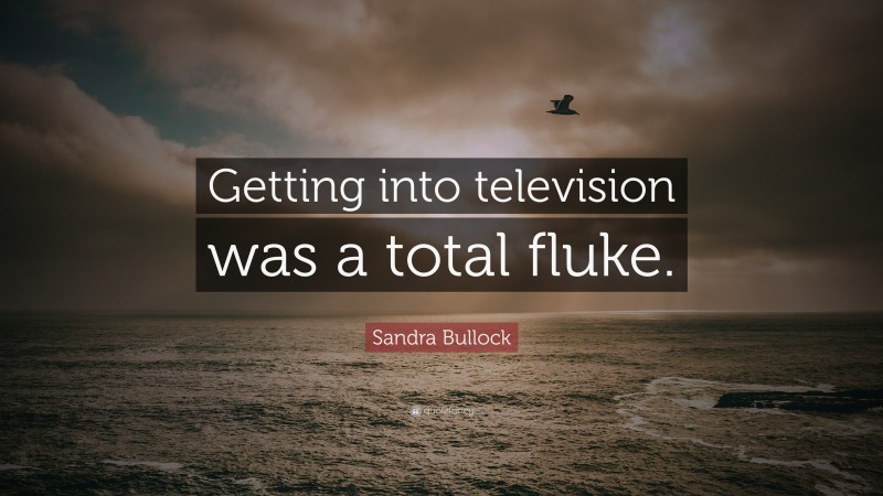 Sandra Bullock Quote: “Getting into television was a total fluke.”
