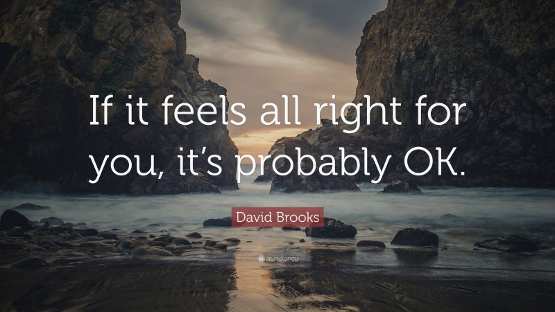 David Brooks Quote: “If it feels all right for you, it’s probably OK.”