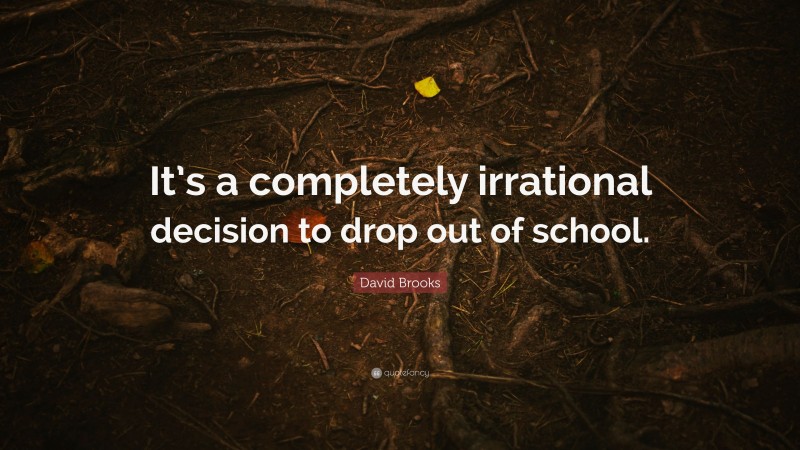 David Brooks Quote: “It’s a completely irrational decision to drop out of school.”
