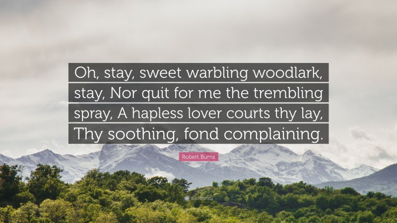 Robert Burns Quote: “Oh, stay, sweet warbling woodlark, stay, Nor quit for me the trembling spray, A hapless lover courts thy lay, Thy soothing, fond complaining.”