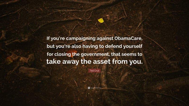 Ted Cruz Quote: “If you’re campaigning against ObamaCare, but you’re also having to defend yourself for closing the government, that seems to take away the asset from you.”
