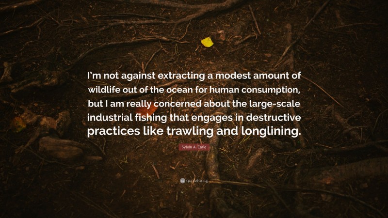 Sylvia A. Earle Quote: “I’m not against extracting a modest amount of wildlife out of the ocean for human consumption, but I am really concerned about the large-scale industrial fishing that engages in destructive practices like trawling and longlining.”
