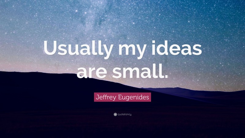Jeffrey Eugenides Quote: “Usually my ideas are small.”