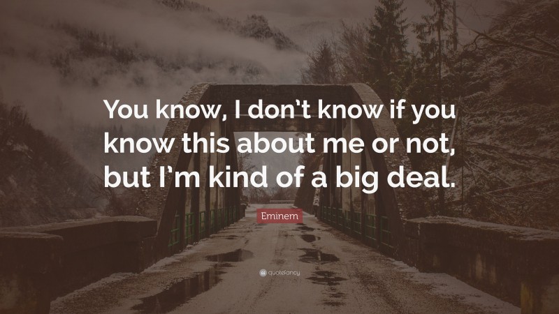 Eminem Quote: “You know, I don’t know if you know this about me or not, but I’m kind of a big deal.”