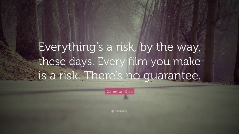 Cameron Díaz Quote: “Everything’s a risk, by the way, these days. Every film you make is a risk. There’s no guarantee.”