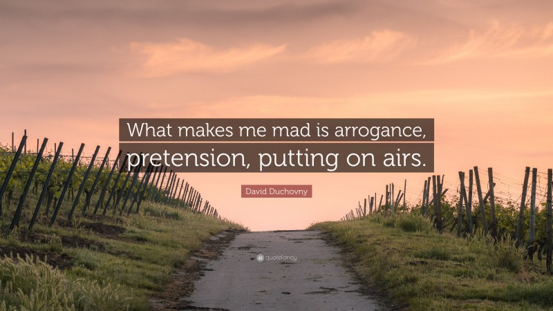David Duchovny Quote: “What makes me mad is arrogance, pretension, putting on airs.”