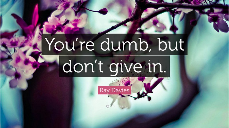 Ray Davies Quote: “You’re dumb, but don’t give in.”