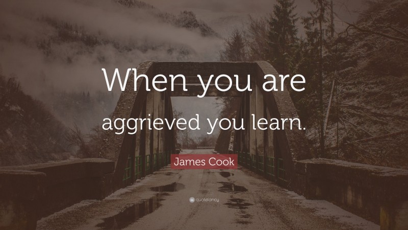 James Cook Quote: “When you are aggrieved you learn.”