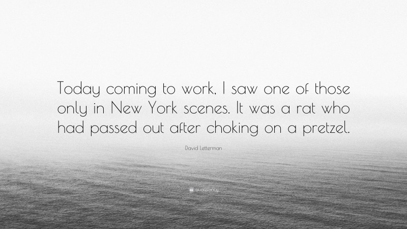 David Letterman Quote: “Today coming to work, I saw one of those only in New York scenes. It was a rat who had passed out after choking on a pretzel.”