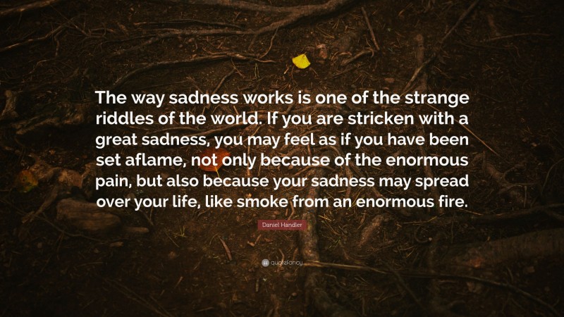Daniel Handler Quote: “The way sadness works is one of the strange riddles of the world. If you are stricken with a great sadness, you may feel as if you have been set aflame, not only because of the enormous pain, but also because your sadness may spread over your life, like smoke from an enormous fire.”