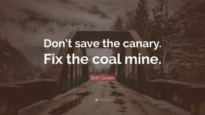 Seth Godin Quote: “Don’t save the canary. Fix the coal mine.”