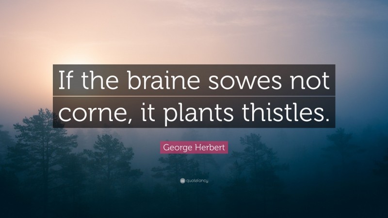 George Herbert Quote: “If the braine sowes not corne, it plants thistles.”