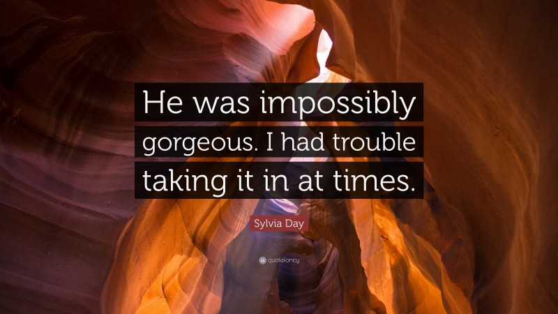 Sylvia Day Quote: “He was impossibly gorgeous. I had trouble taking it in at times.”