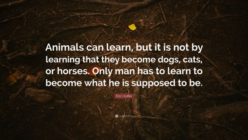 Eric Hoffer Quote: “Animals can learn, but it is not by learning that they become dogs, cats, or horses. Only man has to learn to become what he is supposed to be.”