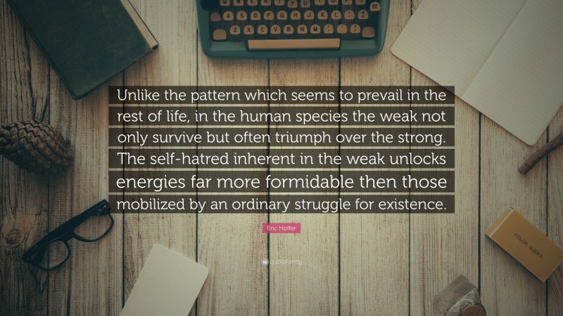 Eric Hoffer Quote: “Unlike the pattern which seems to prevail in the rest of life, in the human species the weak not only survive but often triumph over the strong. The self-hatred inherent in the weak unlocks energies far more formidable then those mobilized by an ordinary struggle for existence.”