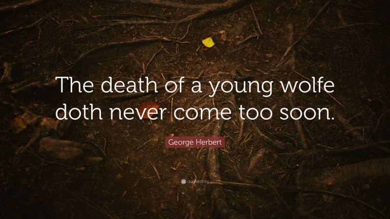 George Herbert Quote: “The death of a young wolfe doth never come too soon.”
