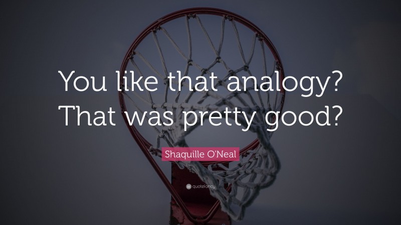 Shaquille O'Neal Quote: “You like that analogy? That was pretty good?”