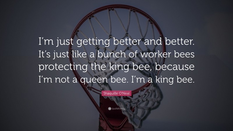 Shaquille O'Neal Quote: “I’m just getting better and better. It’s just like a bunch of worker bees protecting the king bee, because I’m not a queen bee. I’m a king bee.”