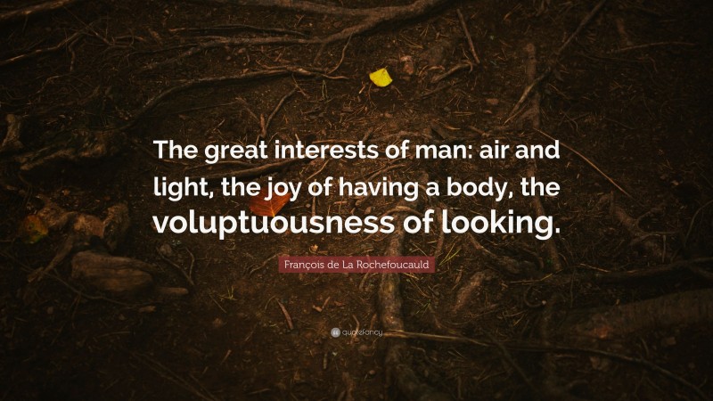 François de La Rochefoucauld Quote: “The great interests of man: air and light, the joy of having a body, the voluptuousness of looking.”