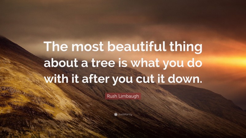 Rush Limbaugh Quote: “The most beautiful thing about a tree is what you do with it after you cut it down.”