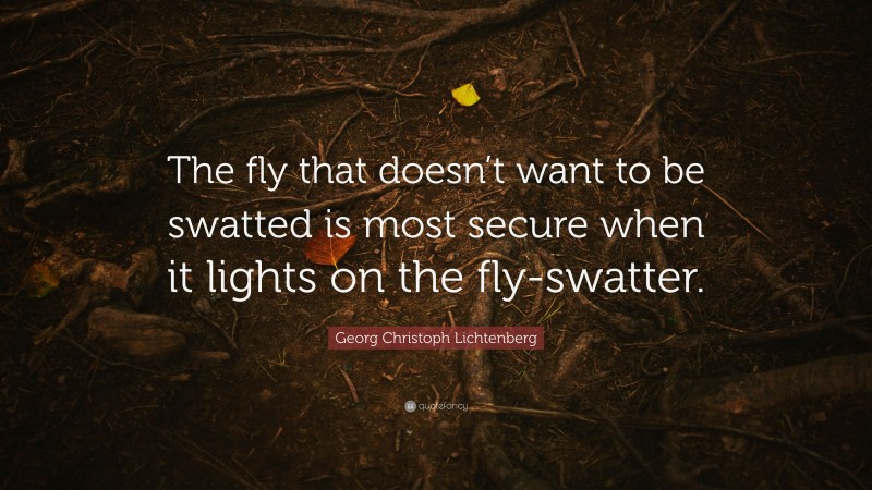 Georg Christoph Lichtenberg Quote: “The fly that doesn’t want to be swatted is most secure when it lights on the fly-swatter.”