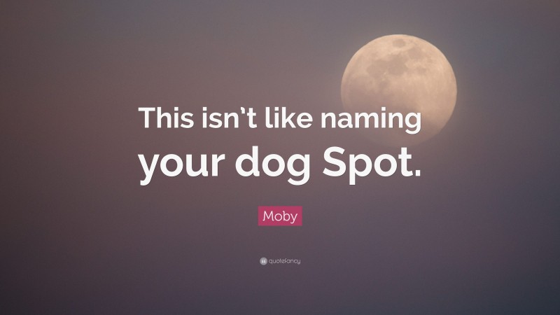 Moby Quote: “This isn’t like naming your dog Spot.”