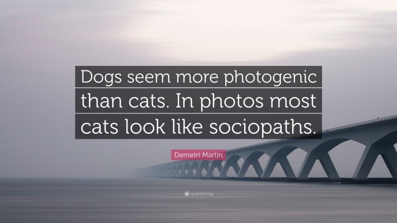 Demetri Martin Quote: “Dogs seem more photogenic than cats. In photos most cats look like sociopaths.”