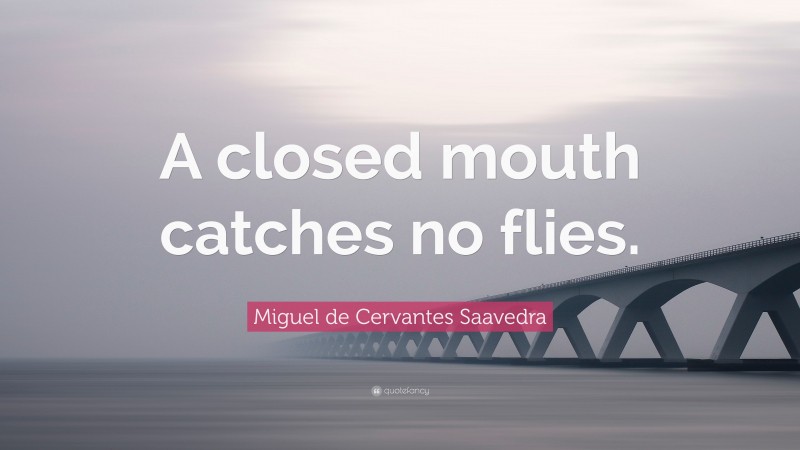 Miguel de Cervantes Saavedra Quote: “A closed mouth catches no flies.”