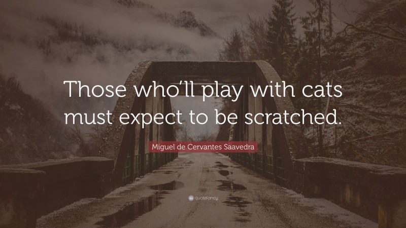 Miguel de Cervantes Saavedra Quote: “Those who’ll play with cats must expect to be scratched.”